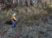 PXL_20260127_022710295