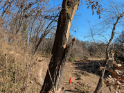 PXL_20260123_014200437