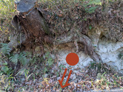 PXL_20260105_234558434