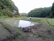 DSC00182