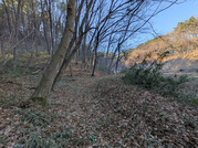 PXL_20260115_235150339-001