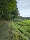 PXL_20260909_024106847