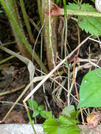 PXL_20260621_083454088