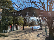 PXL_20260108_051234264