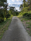PXL_20260729_075757939
