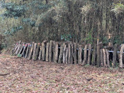 30403_0