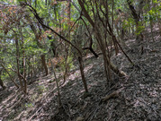 PXL_20260617_034806697