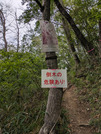 PXL_20260523_034304056