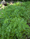PXL_20260510_015340151