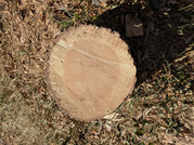 PXL_20260116_035337056