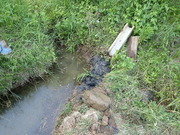 P6020027
