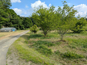 PXL_20260527_230108439