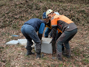 PXL_20260217_023527629