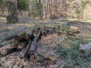 PXL_20260308_023824431