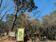 PXL_20260118_020858963