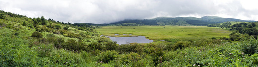 八島ヶ原湿原と霧ヶ峰の山々(Wikipedia)_11-4A
