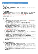 ツヤハダゴマダラカミキリのモニタリング_2