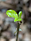 PXL_20260805_040814345
