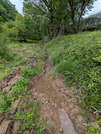 PXL_20260427_033154325