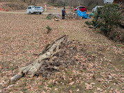 PXL_20260125_022536956