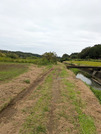 PXL_20260927_050423255