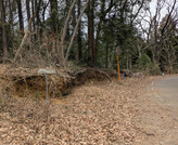 PXL_20260119_030302372