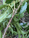 PXL_20260530_080122942