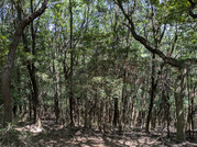 PXL_20260617_035116262