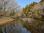 PXL_20260326_233915857