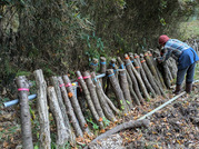 PXL_20251123_030612311