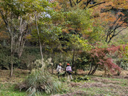 PXL_20251123_004726140