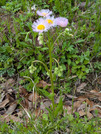 PXL_20260410_033839849