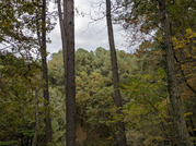 PXL_20251117_233330568