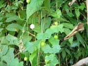 DSCN9828