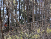 PXL_20260123_011216934