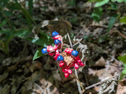 PXL_20260805_041430182