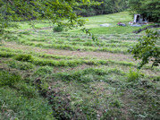 PXL_20260505_091252329