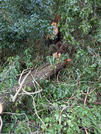 PXL_20260910_015413918
