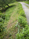 PXL_20260508_022312177