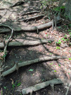 PXL_20260502_015704290