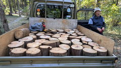 PXL_20251114_041110529