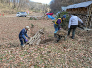 PXL_20260125_011434705