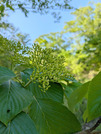 PXL_20260421_053302329