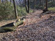 PXL_20260111_010950041