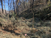 PXL_20260131_025310158-001