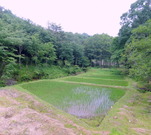 DSC01153
