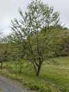 PXL_20260410_043433331