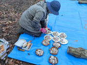 PXL_20260222_003856444