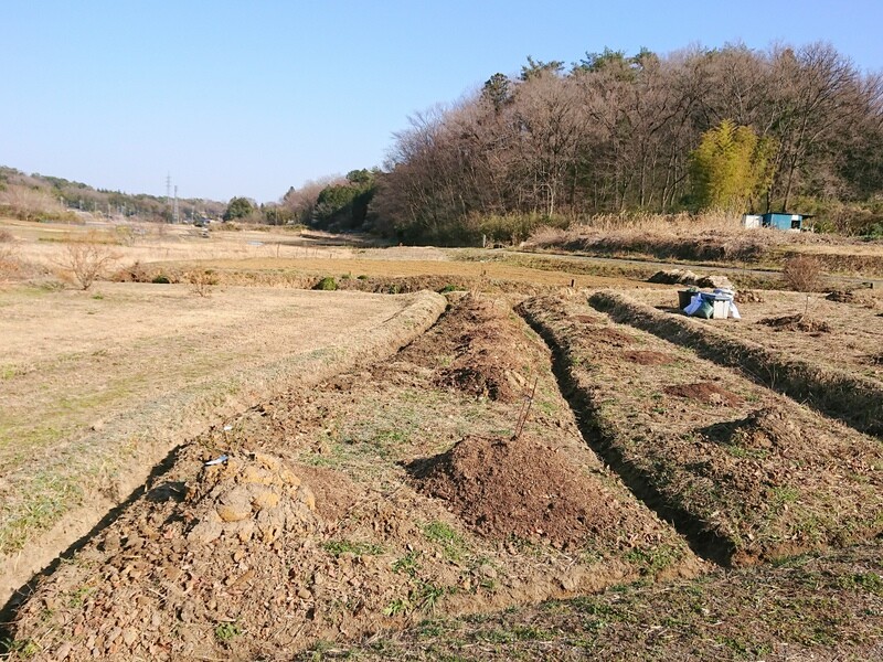 青木ノ入畑の溝掘り 2月24日 岩殿満喫クラブ 岩殿 Day By Day 青木ノ入畑の溝掘り 2月24日 岩殿満喫クラブ 岩殿 Day By Day