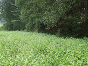 PA030025